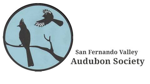 Crows and Ravens - San Fernando Valley Audubon Society