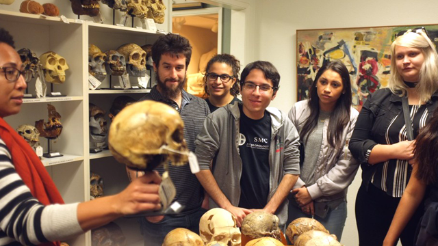 Students looking at skull reproductions.
