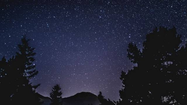 Photo of a starry night sky framed by the silouettes of forest trees and a distant mountain.