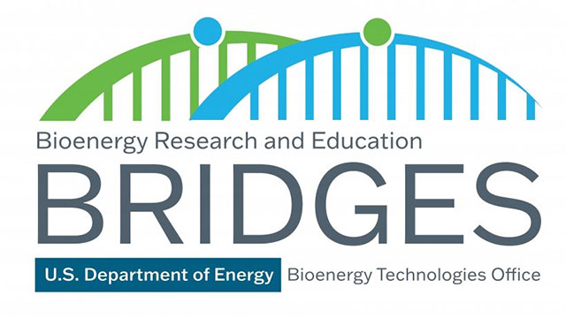 Bridges Logo