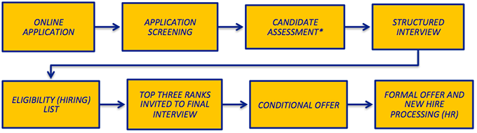 Application and Testing Process Graphic