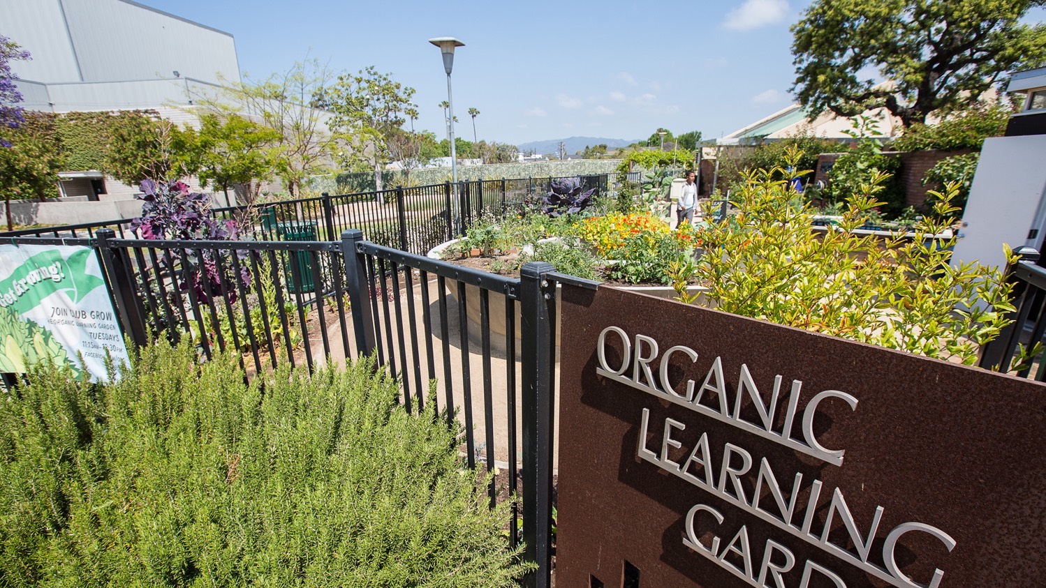 Organic Learning Garden