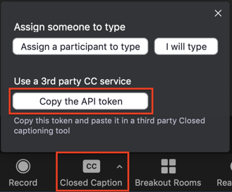 Copy the API token controls